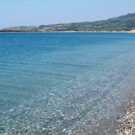 Alz4 * Lamezia Terme